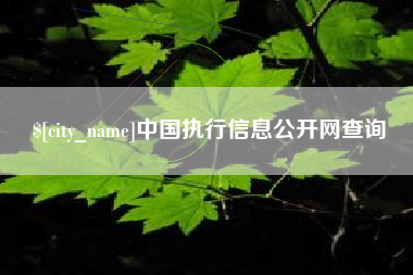 安陆中国执行信息公开网查询