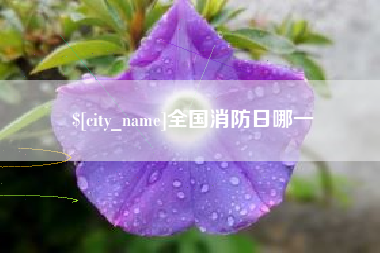 安陆全国消防日哪一