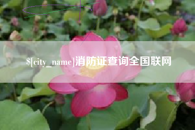 安陆消防证查询全国联网