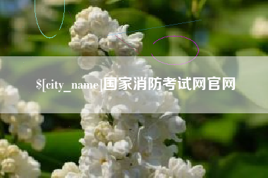 安陆国家消防考试网官网
