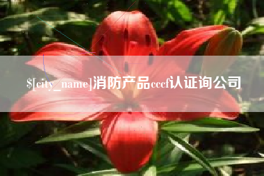安陆消防产品cccf认证询公司