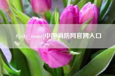 安陆中国消防网官网入口