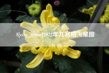 安陆2022年九宫格飞星图