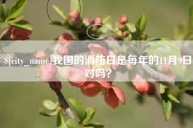 安陆我国的消防日是每年的11月9日对吗？