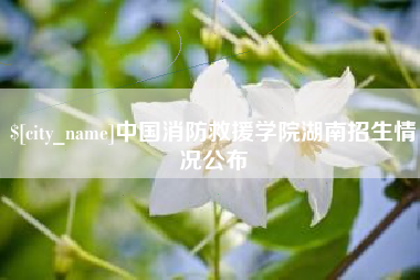 安陆中国消防救援学院湖南招生情况公布