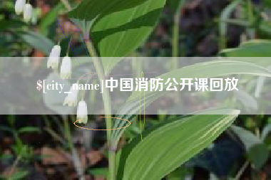 安陆中国消防公开课回放