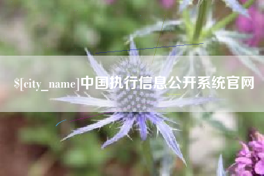 安陆中国执行信息公开系统官网
