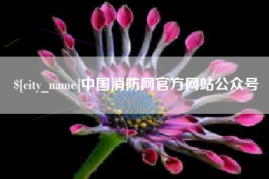 安陆中国消防网官方网站公众号