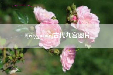 安陆古代九宫图片