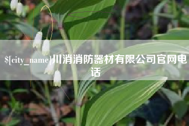 安陆川消消防器材有限公司官网电话