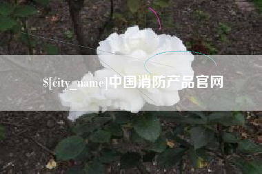 安陆中国消防产品官网
