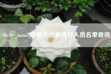 安陆中国失信被执行人员名单查询