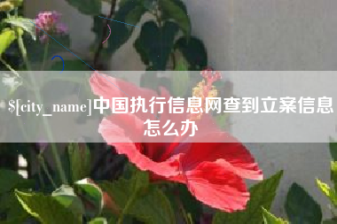 安陆中国执行信息网查到立案信息怎么办