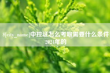 安陆中控证怎么考取需要什么条件2024年的