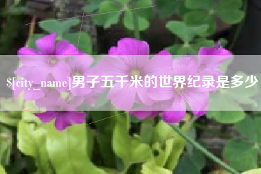 安陆男子五千米的世界纪录是多少