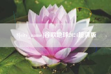 安陆谷歌地球2024超清版