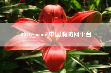 安陆中国消防网平台