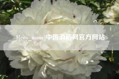 安陆中国消防网官方网站