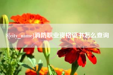 安陆消防职业资格证书怎么查询