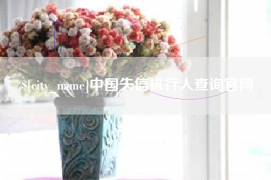 安陆中国失信执行人查询官网
