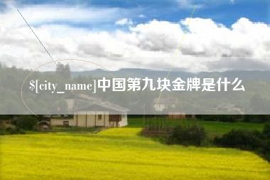 安陆中国第九块金牌是什么
