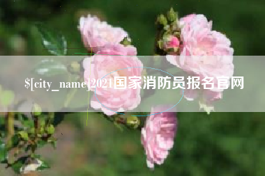 安陆2021国家消防员报名官网
