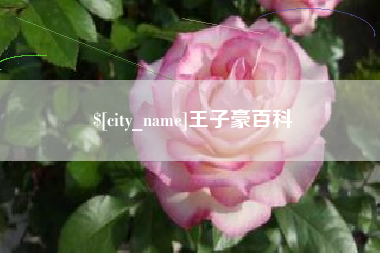 安陆王子豪百科