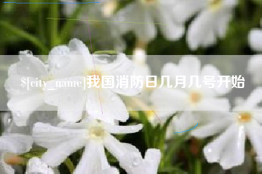 安陆我国消防日几月几号开始