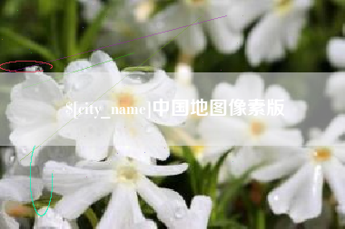 安陆中国地图像素版