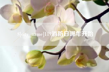 安陆119消防日哪年开始