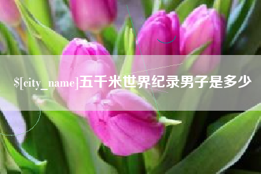 安陆五千米世界纪录男子是多少
