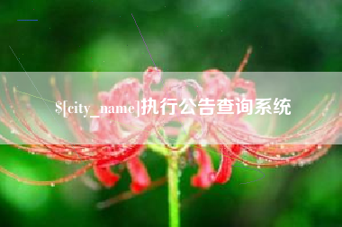 安陆执行公告查询系统
