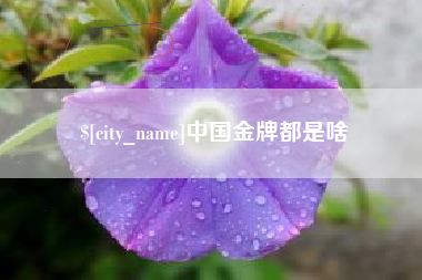 安陆中国金牌都是啥