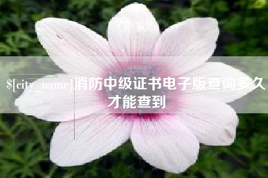 安陆消防中级证书电子版查询多久才能查到