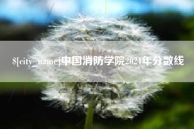 安陆中国消防学院2024年分数线