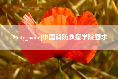 安陆中国消防救援学院要求