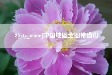 安陆中国地图全图带省份