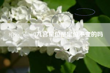 安陆九宫星位是定位不变的吗