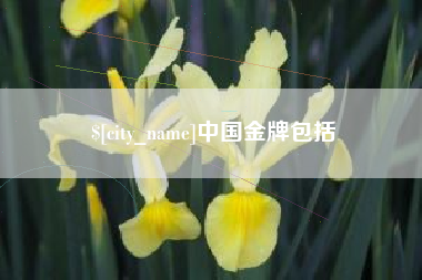 安陆中国金牌包括