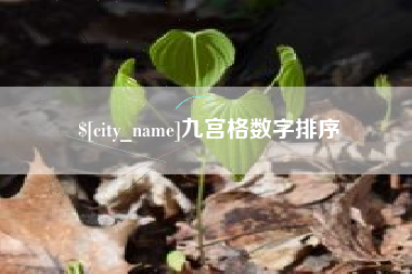 安陆九宫格数字排序