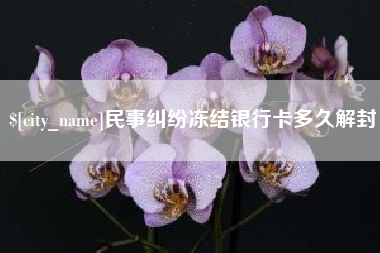 安陆民事纠纷冻结银行卡多久解封