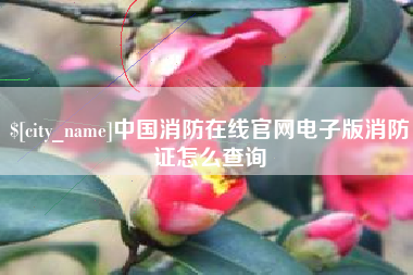安陆中国消防在线官网电子版消防证怎么查询