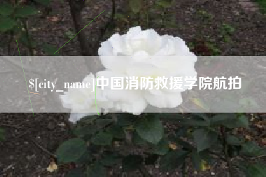安陆中国消防救援学院航拍