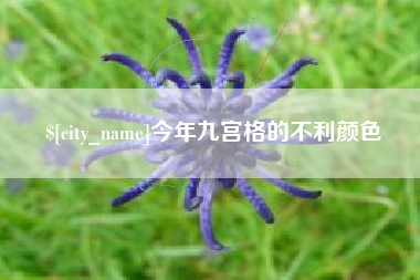 安陆今年九宫格的不利颜色