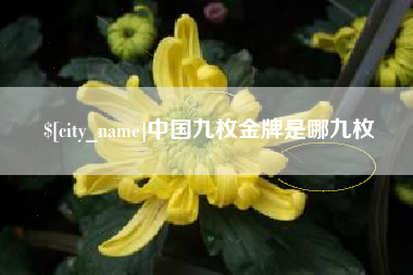 安陆中国九枚金牌是哪九枚