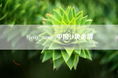 安陆中国19块金牌