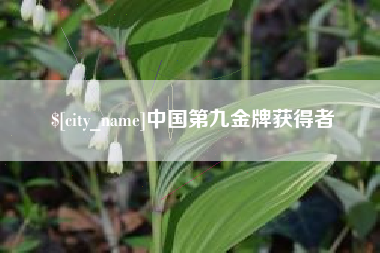 安陆中国第九金牌获得者