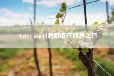 安陆消防证查询怎么查