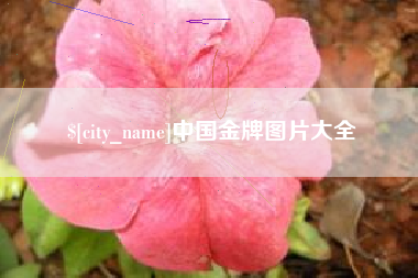 安陆中国金牌图片大全