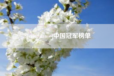 安陆中国冠军榜单
